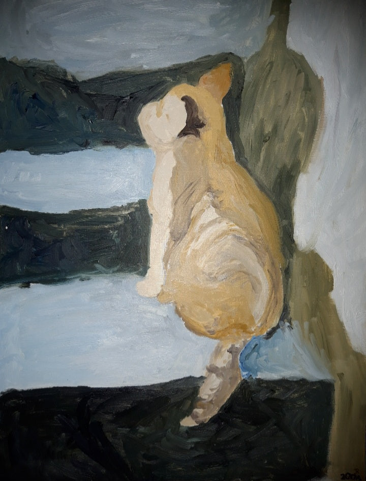 Dr. Johanna Ritter - Catus
