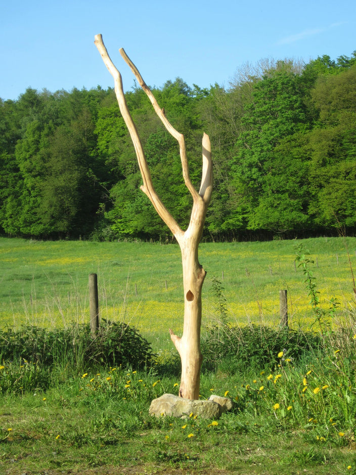 Robin Geißler - Lebensbaum