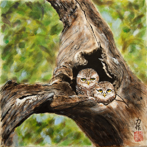 Li Zhou - Eulen Poster Kunstdruck - Li Zhou, Spreitenbach, Schweiz Wandbild