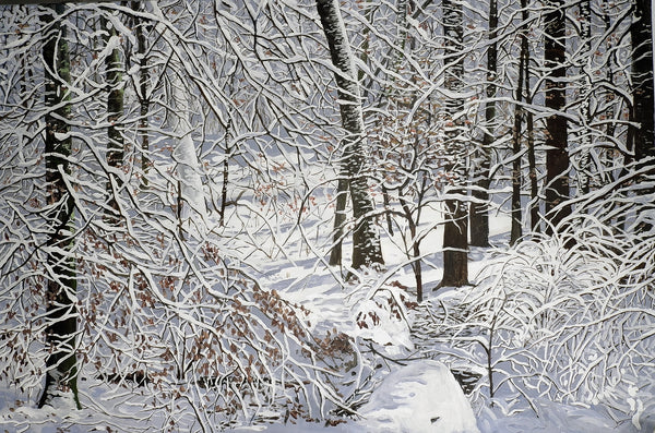 Erich Mayer - Winterwald Poster Kunstdruck - Erich Mayer, Allensbach, Deutschland Wandbild