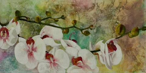 Ingrid Studer - Orchideen