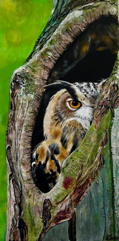 Li Zhou - Owl