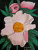 Rose Rauch - Pfingstrosen in Rosa Poster Kunstdruck - Rose Rauch, Taufkirchen, Deutschland Wandbild