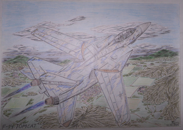 Roland Schötzau - F-14 Tomcat Poster Kunstdruck - Roland Schötzau, Solingen, Deutschland Wandbild