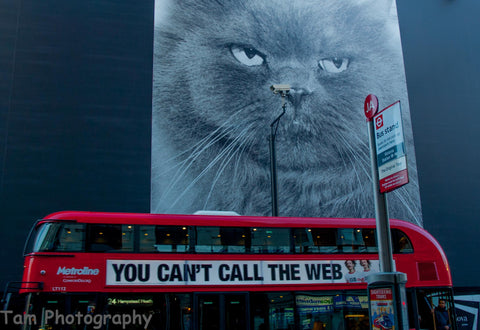 Tamara Polacek - Schau mir in die Augen Kleines