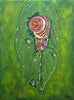 Li Zhou - Snail