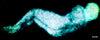 Reinhard H.W. Brand - T2Andy, BlueMovie2 Poster Kunstdruck - Reinhard H.W. Brand, Bonn, Deutschland Wandbild
