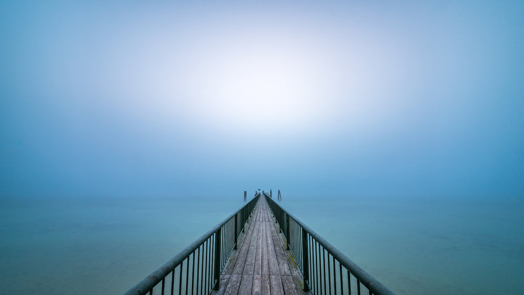 Roland Seichter - To The Light