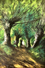 Wojciech Krupa - Die Kopfweiden Poster Kunstdruck - Wojciech Krupa, KUNST-ONLINE Wandbild