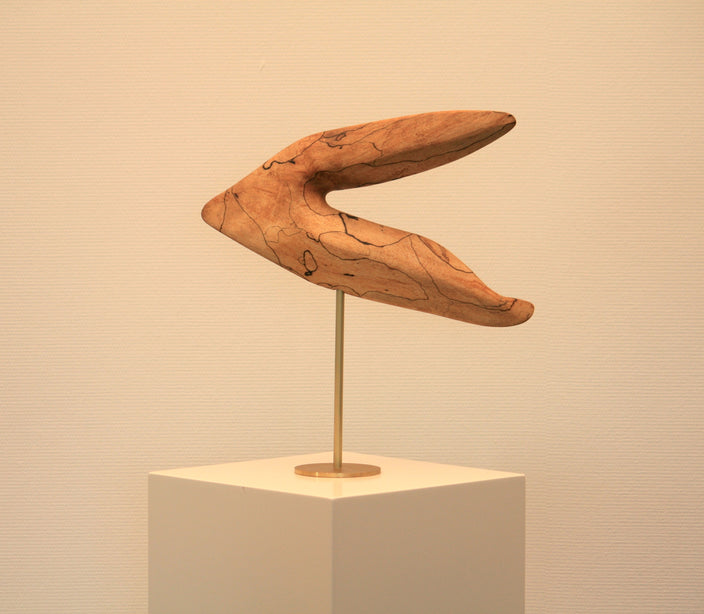 Peter Gebhard - Fisch