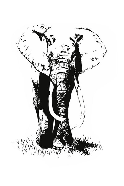 Elephant Poster Kunstdruck - Illustration, KUNST-ONLINE Wandbild