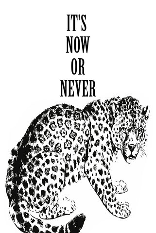 It's now or never