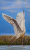 Hannes Guggenbühl - Sibirischer Kranich Poster Kunstdruck - Hannes Guggenbühl, Bonndorf, Deutschland Wandbild