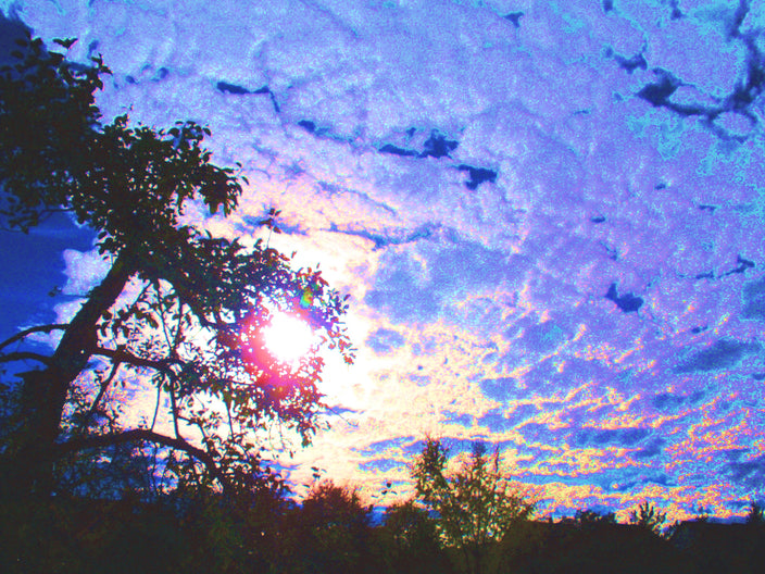 Marlies Zibell - Clouds, sun and appletree