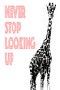 Never stop looking up Poster Kunstdruck - Typografie Illustration, KUNST-ONLINE Wandbild
