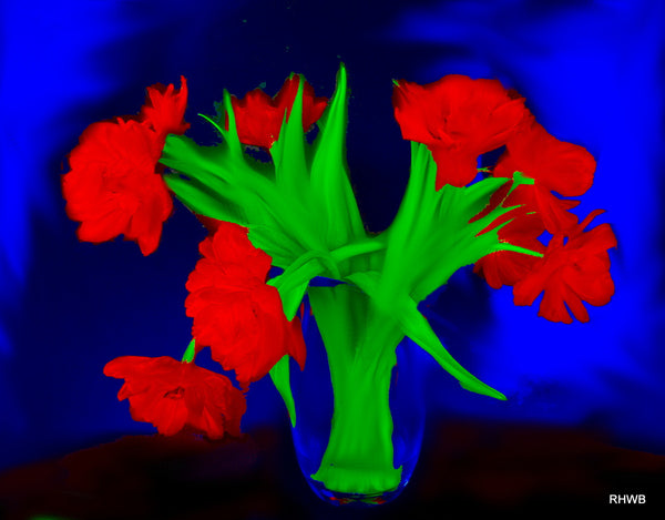 Reinhard H.W. Brand - Red tulips
