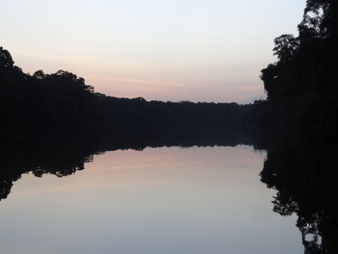 ricopic - silent river