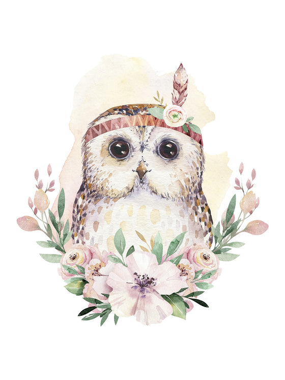 Sweet owl