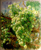 Tatiana Bindman - Trauben Poster Kunstdruck - Tatiana Bindman, Luzern, Schweiz Wandbild